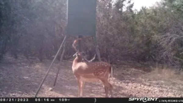 $1,350,000 | 419 Yellowstone Lane, Hunt, TX 78024