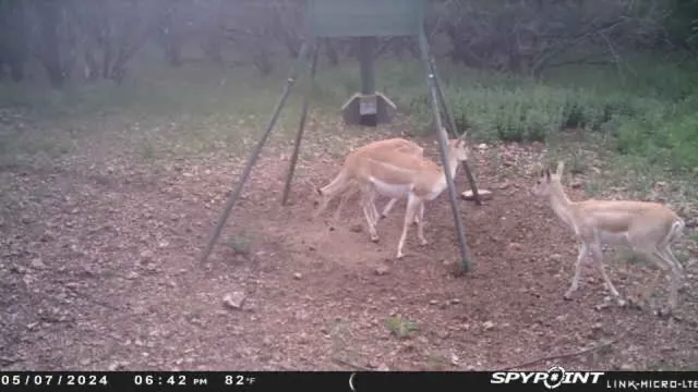 $1,350,000 | 419 Yellowstone Lane, Hunt, TX 78024