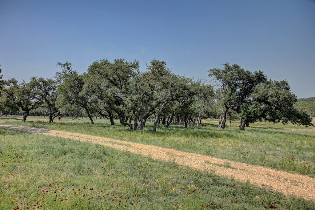 419 Yellowstone Lane Hunt, TX 78024 - Photo 23 of 73