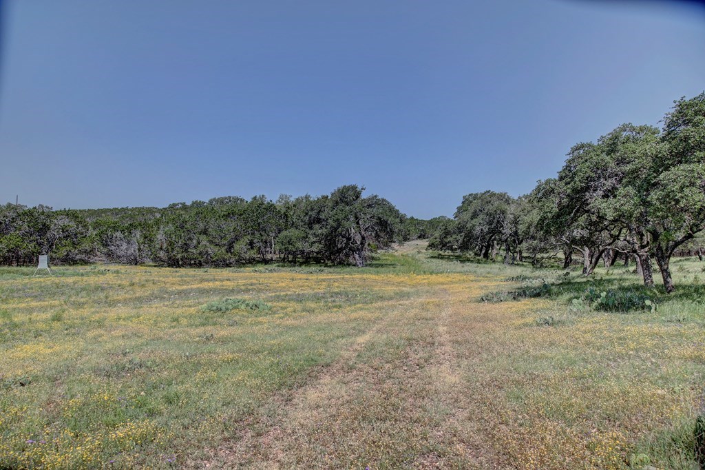 419 Yellowstone Lane Hunt, TX 78024 - Photo 25 of 73