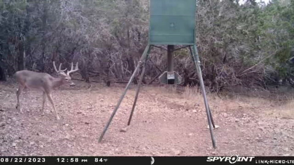 419 Yellowstone Lane Hunt, TX 78024 - Photo 26 of 73