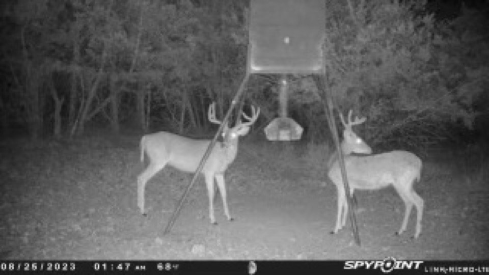 419 Yellowstone Lane Hunt, TX 78024 - Photo 27 of 73