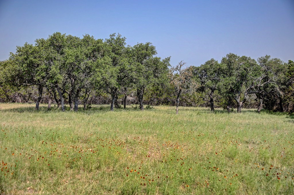 419 Yellowstone Lane Hunt, TX 78024 - Photo 62 of 73