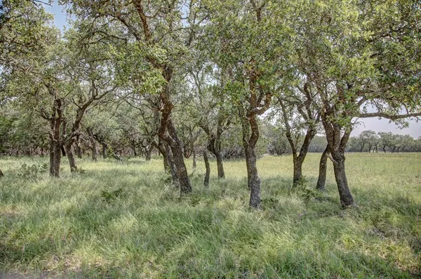 $1,350,000 | 419 Yellowstone Lane, Hunt, TX 78024