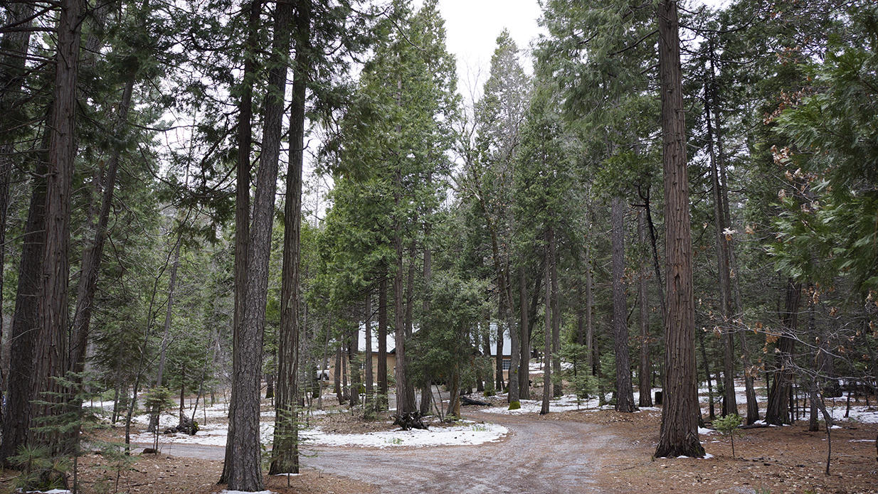 6824 Wilson Hill Road Shingletown, CA 96088 - Photo 5 of 56 Circular Gravel Driveway