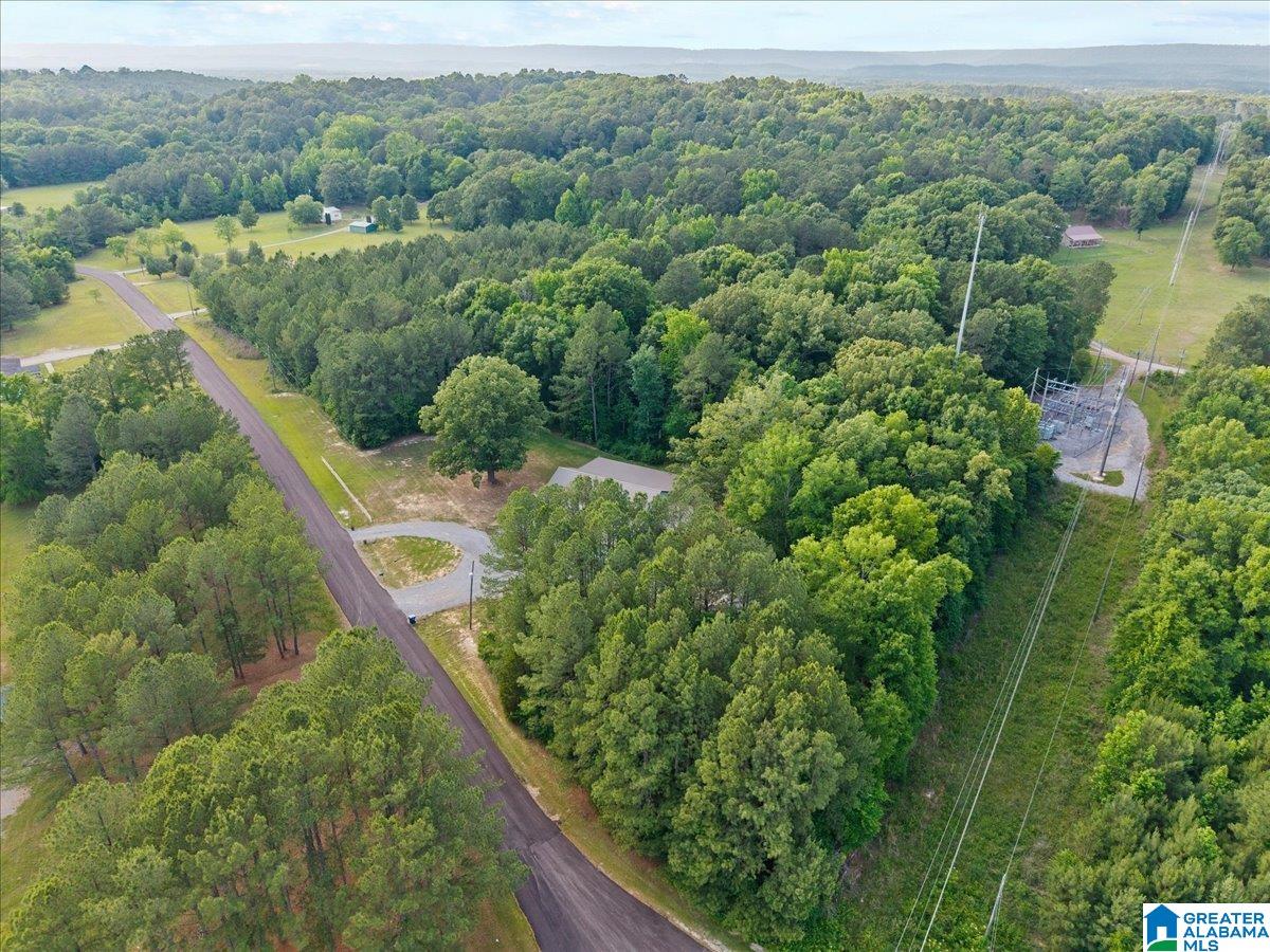 665 Stolle Farm Road Ashville, AL 35953 - Photo 66 of 77