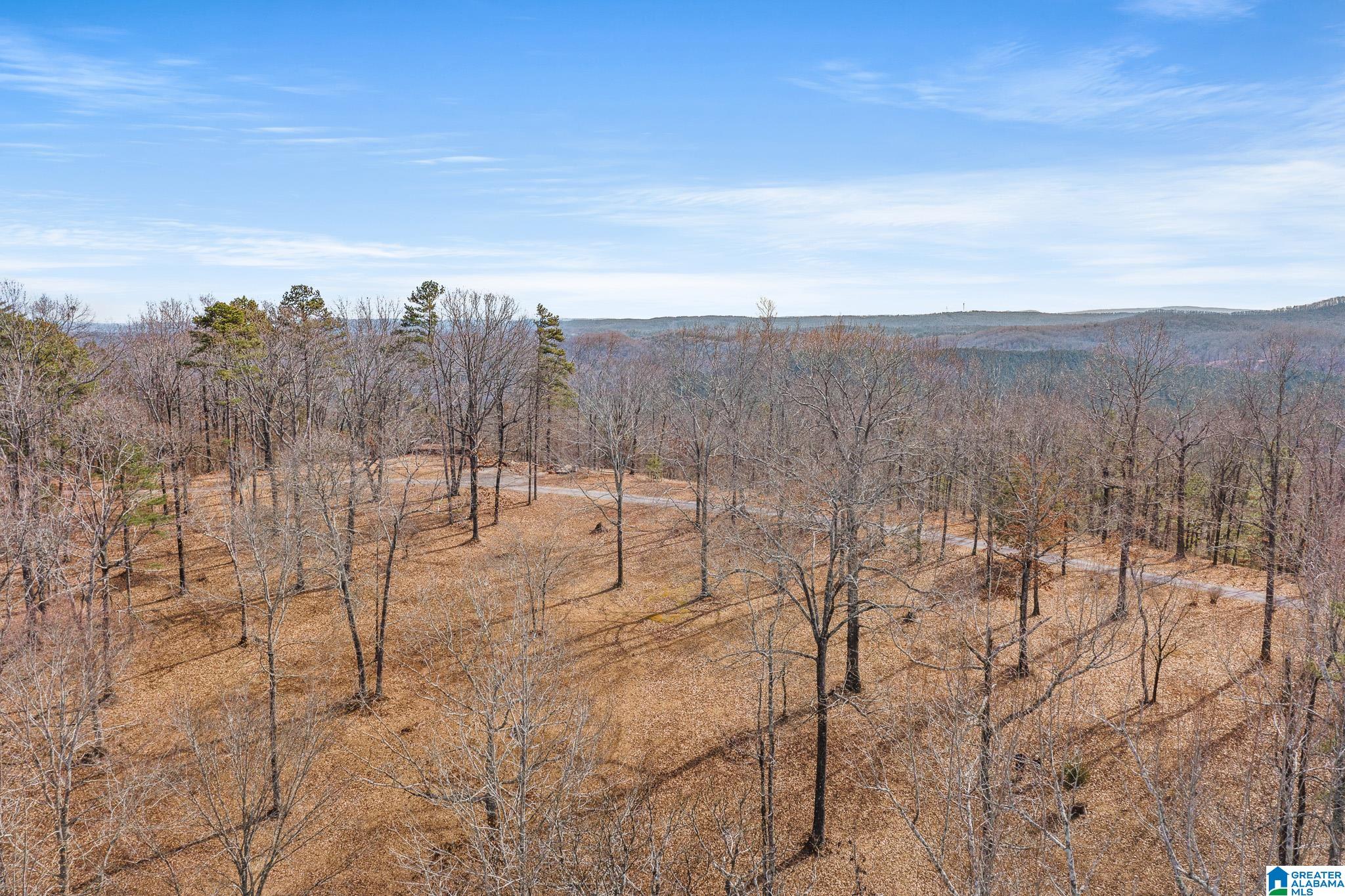 575 Mountain View Lane Springville, AL 35146 - Photo 79 of 84