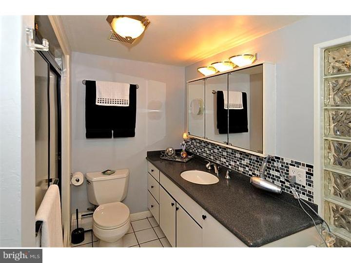 2502 Bedminster Road Perkasie, PA 18944 - Photo 14 of 23 Master Bathroom