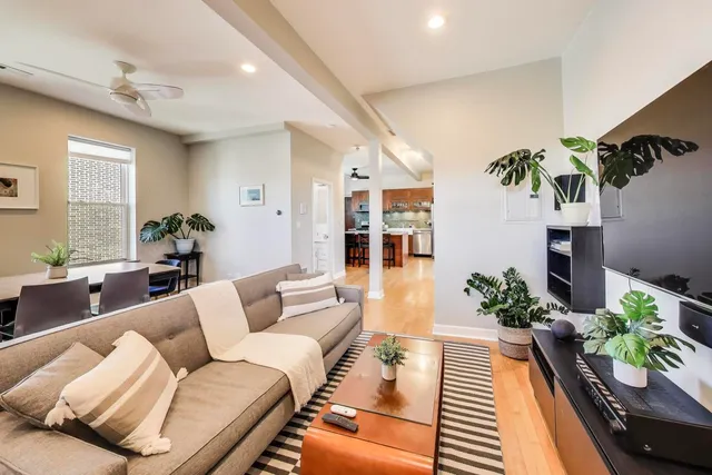 a living room with furniture and a potted plant
