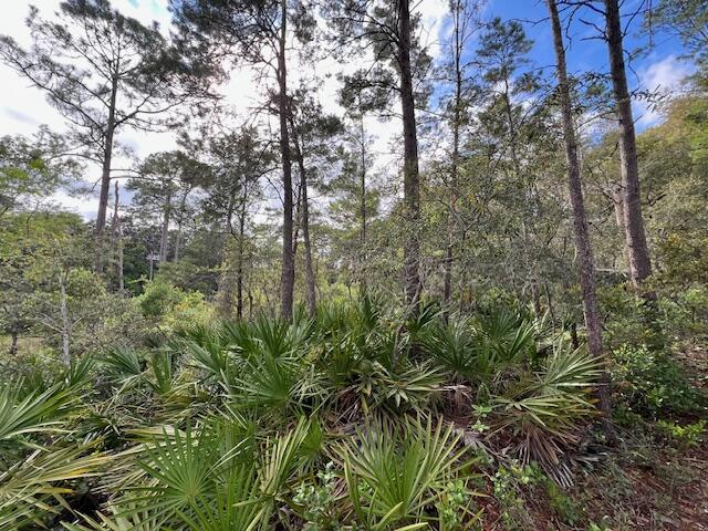 Lot 5 West Okeechobee Santa Rosa Beach Santa Rosa Beach, FL 32459 - Photo 11 of 28 a view of a yard