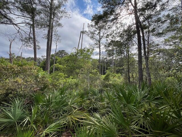 Lot 5 West Okeechobee Santa Rosa Beach Santa Rosa Beach, FL 32459 - Photo 12 of 28 a view of a garden