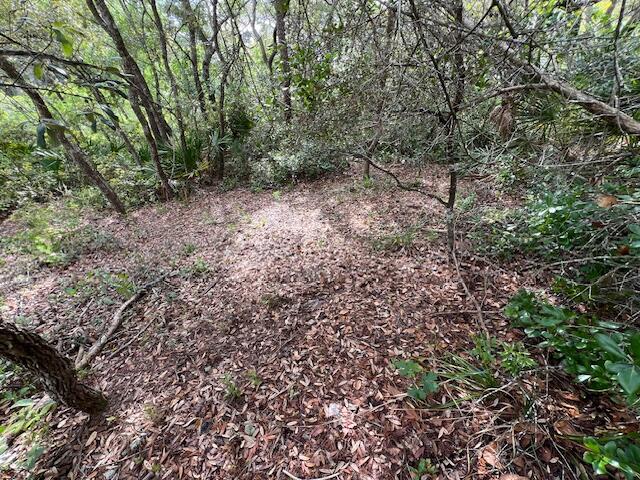 Lot 5 West Okeechobee Santa Rosa Beach Santa Rosa Beach, FL 32459 - Photo 14 of 28 a view of a forest with trees in the background