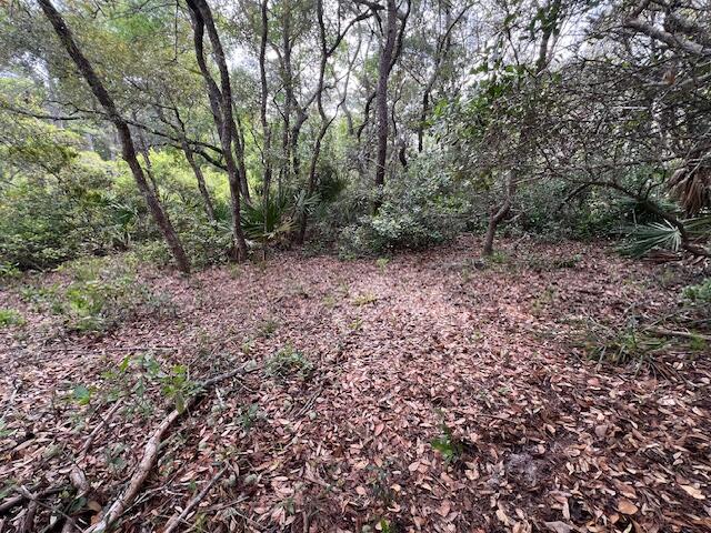 Lot 5 West Okeechobee Santa Rosa Beach Santa Rosa Beach, FL 32459 - Photo 15 of 28 a view of a yard with a tree