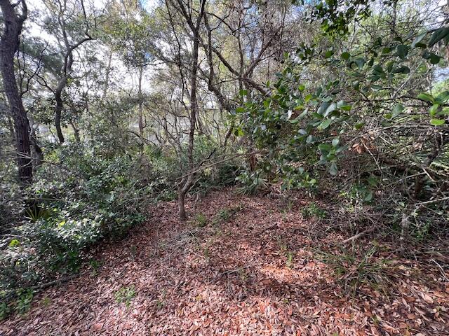 Lot 5 West Okeechobee Santa Rosa Beach Santa Rosa Beach, FL 32459 - Photo 16 of 28 a view of a yard with a tree