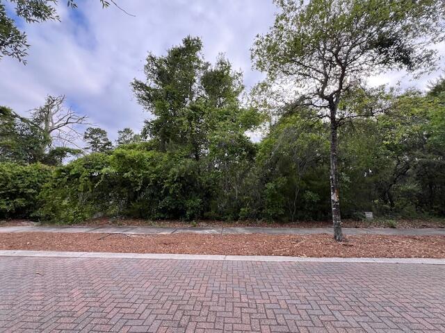 Lot 5 West Okeechobee Santa Rosa Beach Santa Rosa Beach, FL 32459 - Photo 5 of 28 a view of a backyard