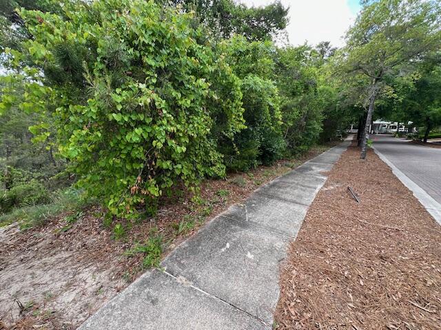 Lot 5 West Okeechobee Santa Rosa Beach Santa Rosa Beach, FL 32459 - Photo 6 of 28 a view of path along with trees