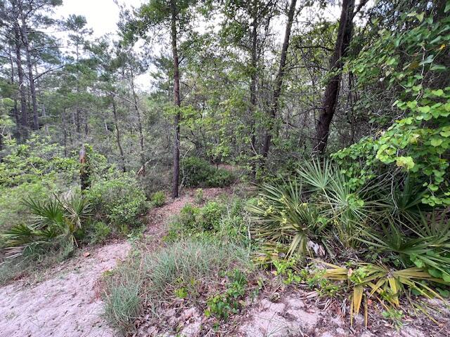 Lot 5 West Okeechobee Santa Rosa Beach Santa Rosa Beach, FL 32459 - Photo 7 of 28 a view of a garden with large trees