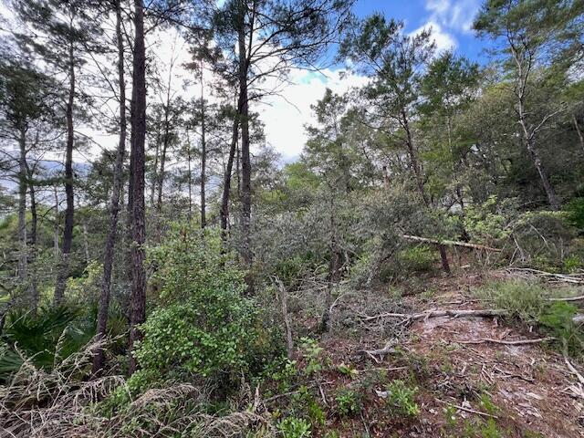 Lot 5 West Okeechobee Santa Rosa Beach Santa Rosa Beach, FL 32459 - Photo 9 of 28 a view of a forest with trees in the background