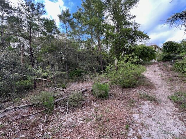 Lot 5 West Okeechobee Santa Rosa Beach Santa Rosa Beach, FL 32459 - Photo 10 of 28 a big yard with lots of green space and deers
