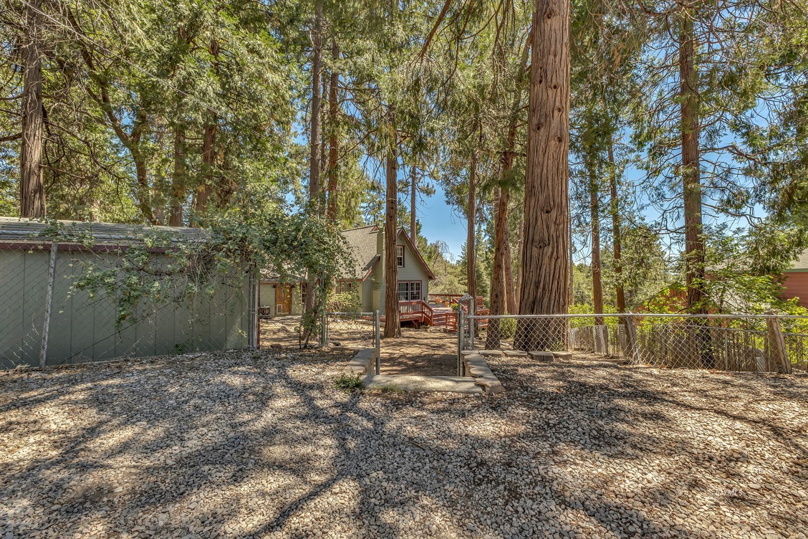 52620 Pine Cove Road Idyllwild, CA 92549 - Photo 6 of 44 Untitled