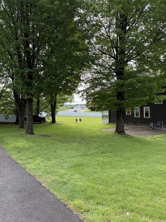 0 Grove Street Worcester, MA 01609 - Photo 3 of 9 a view of a trees in front of a big yard with large trees