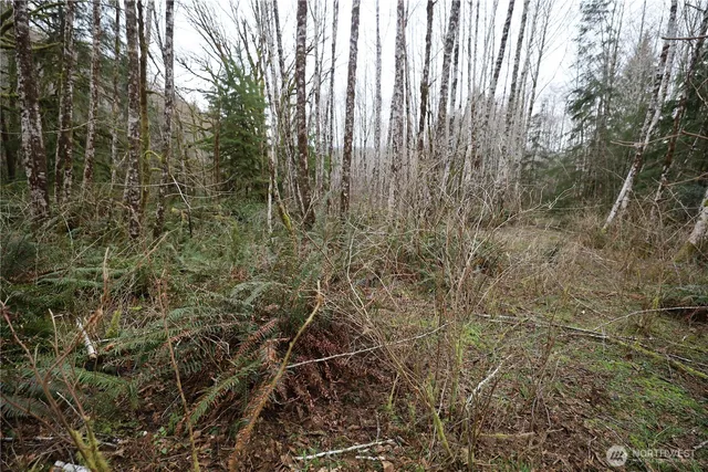 a view of a room with a dry yard