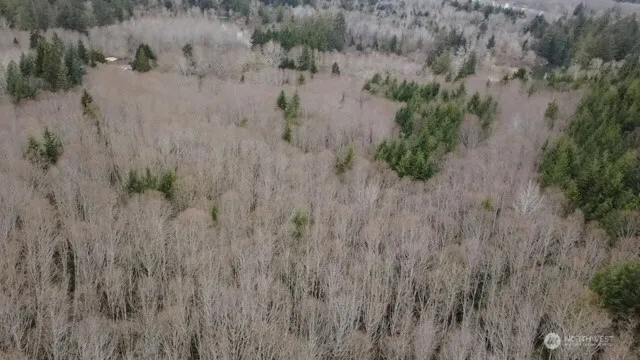 a view of a dry field with trees
