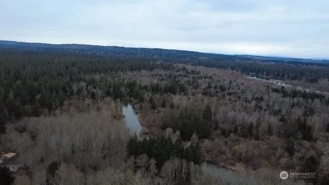 a view of a forest with mountains in the background
