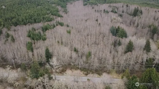 a view of a dry yard