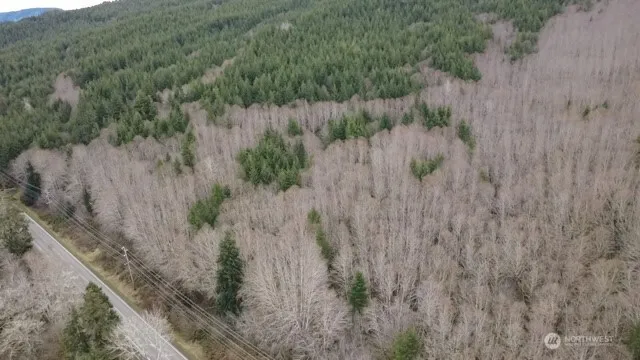 a view of a forest with a house