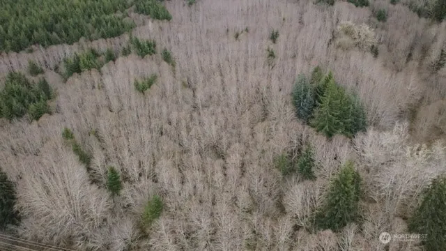 a view of a dry yard