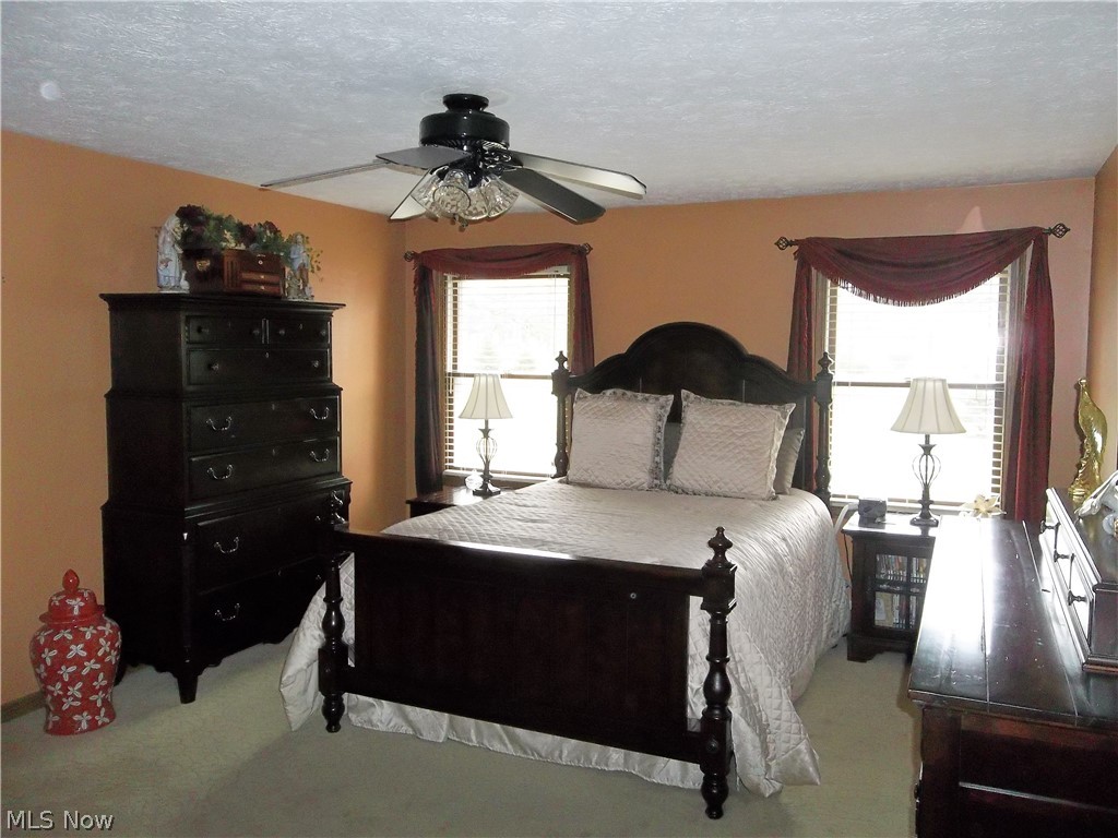 11202 Clary Road Wakeman, OH 44889 - Photo 19 of 33