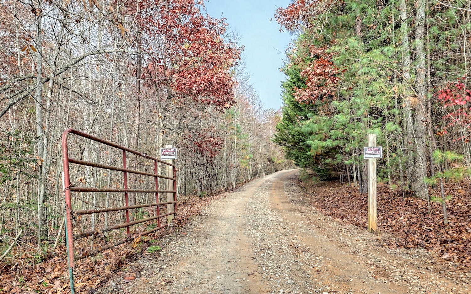 2289 Hedden Road Murphy, NC 28906 - Photo 4 of 50 a view of a backyard
