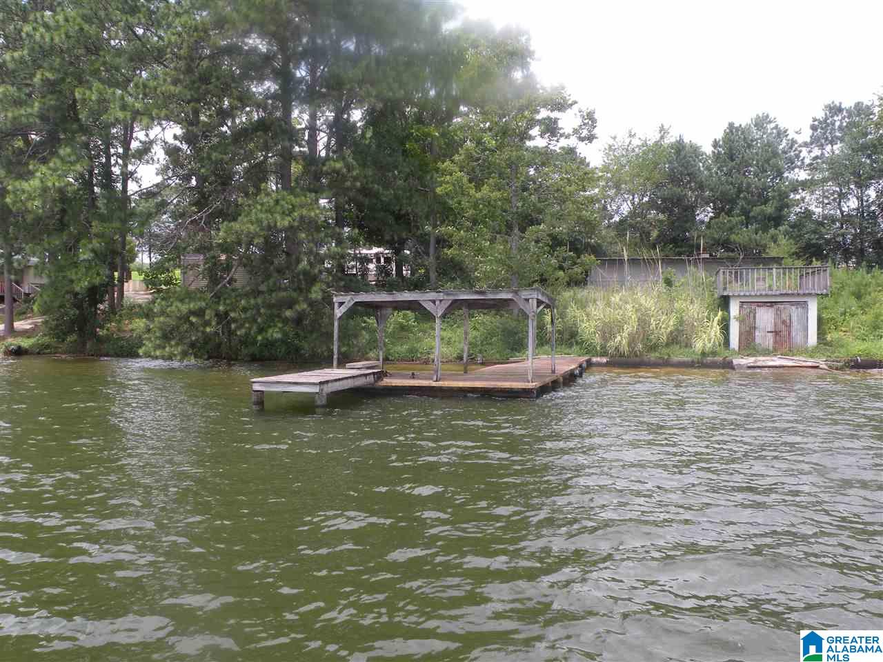 0 Coosa Island Road, Unit 12 Vincent, AL 35178 - Photo 1 of 3
