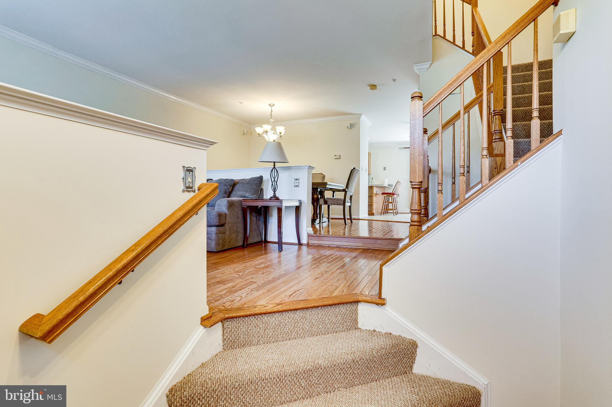 1805 Locust Grove Road Silver Spring, MD 20910 - Photo 5 of 41