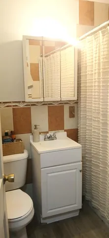 a bathroom with a toilet a sink and a window