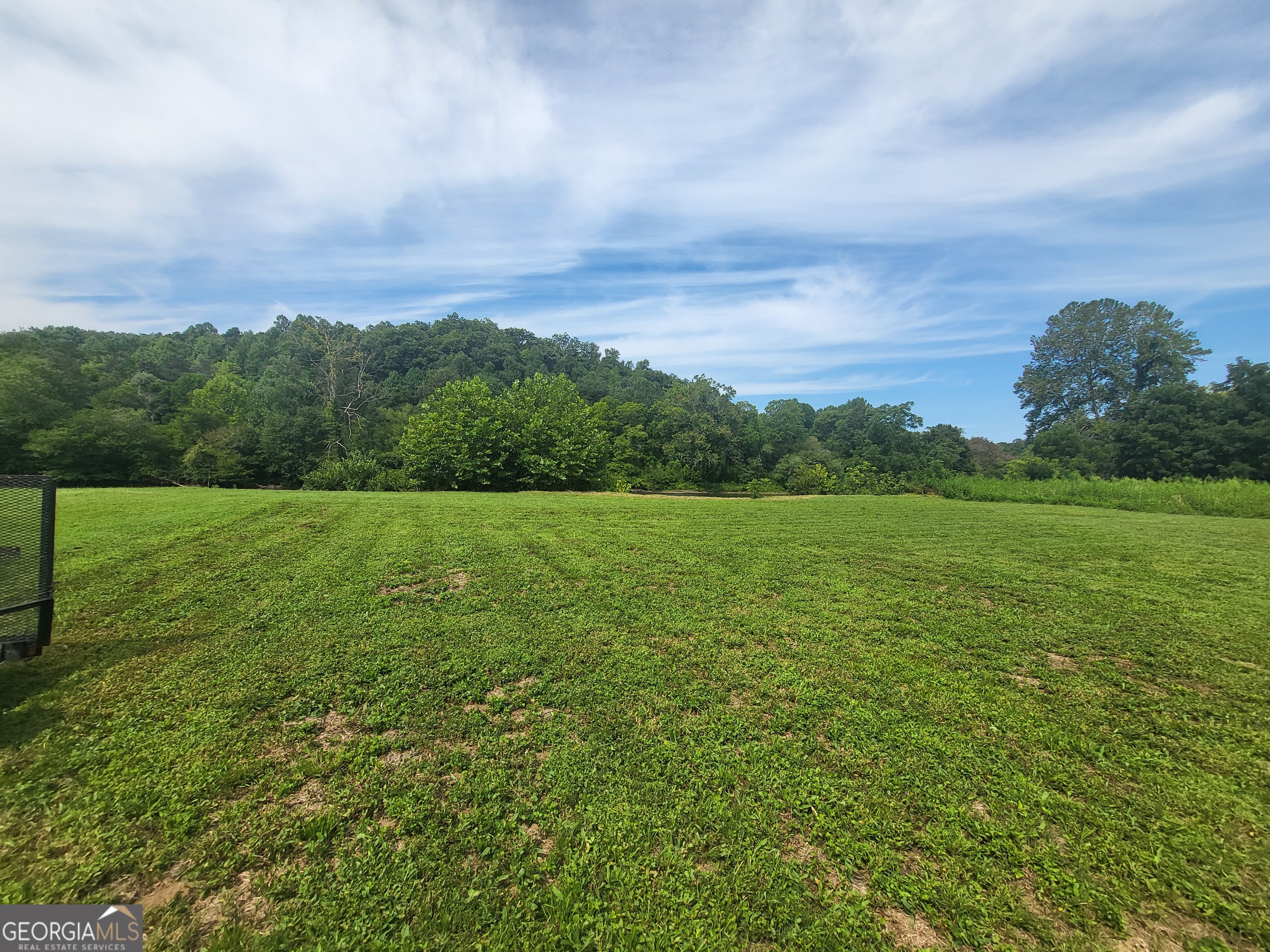 a view of a field with an ocean
