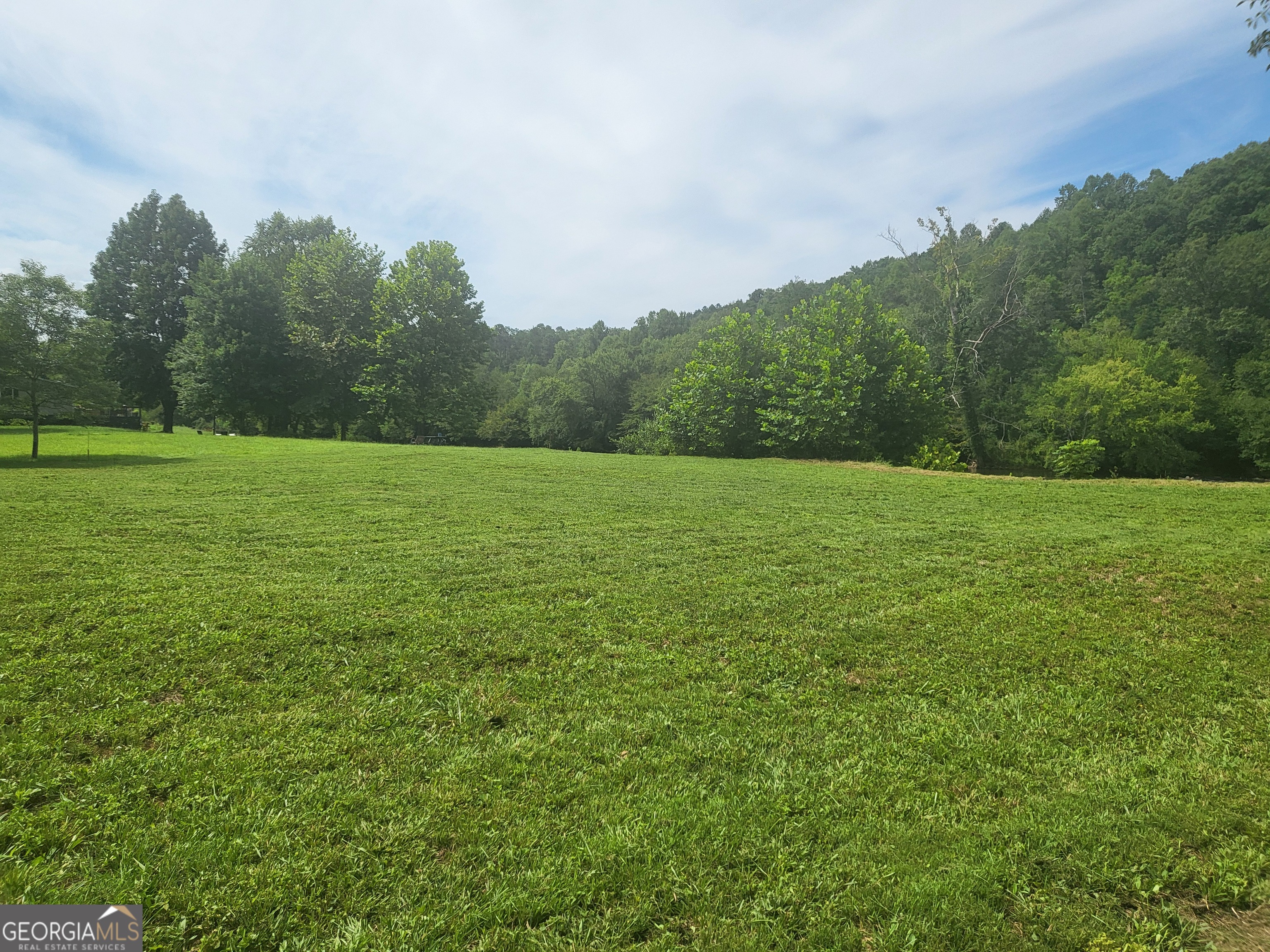 43 Moon Shadow Road Franklin, NC 28734 - Photo 12 of 12 a view of field with trees in the background