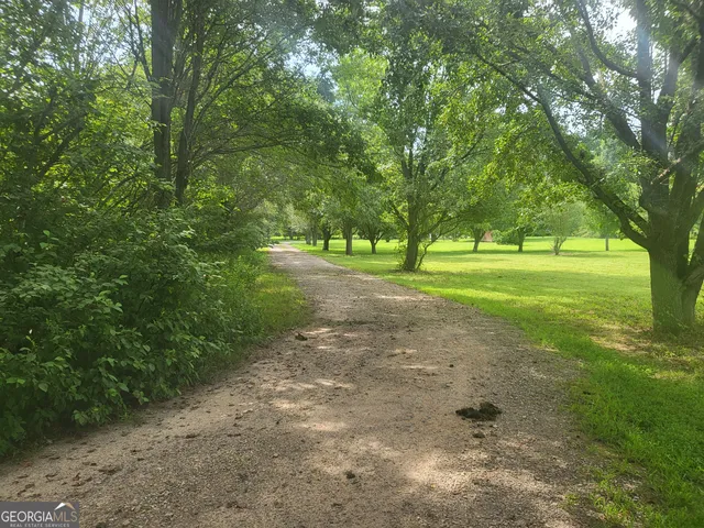 a view of a yard with a tree