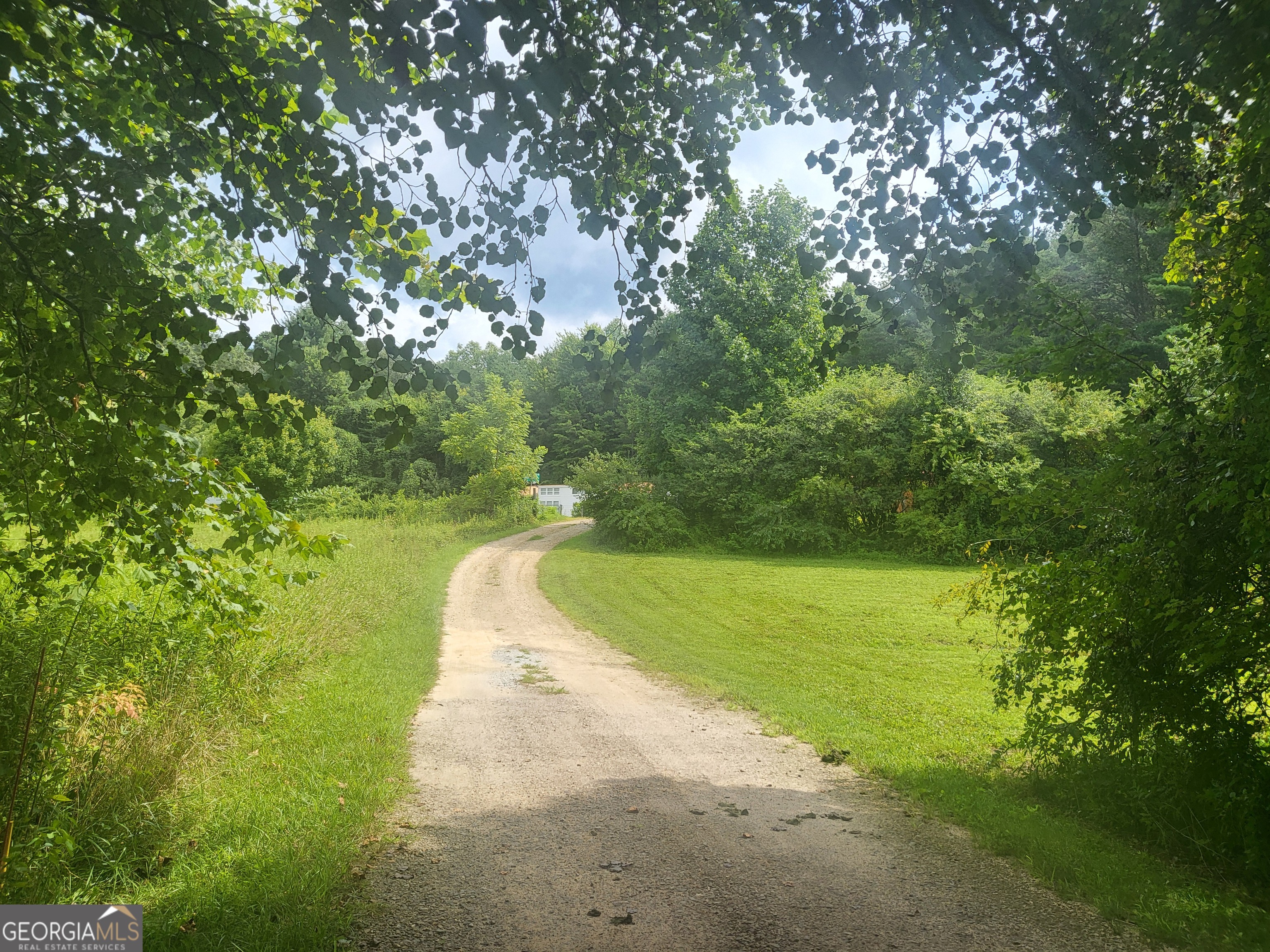 43 Moon Shadow Road Franklin, NC 28734 - Photo 5 of 12 a view of a yard with a tree