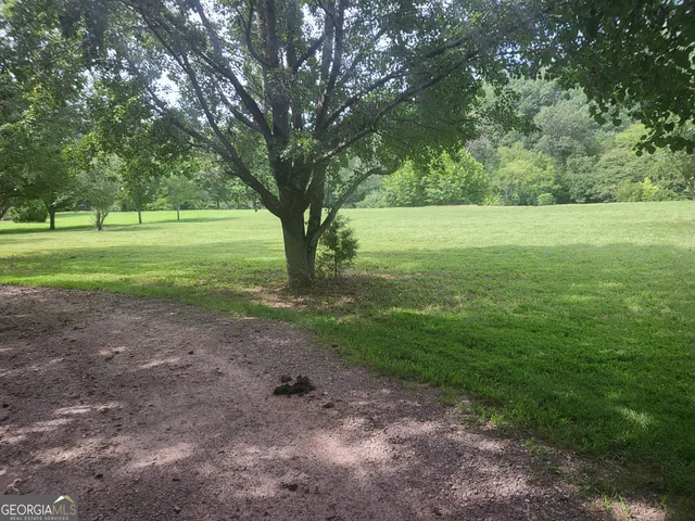 a view of a field with an trees in the background