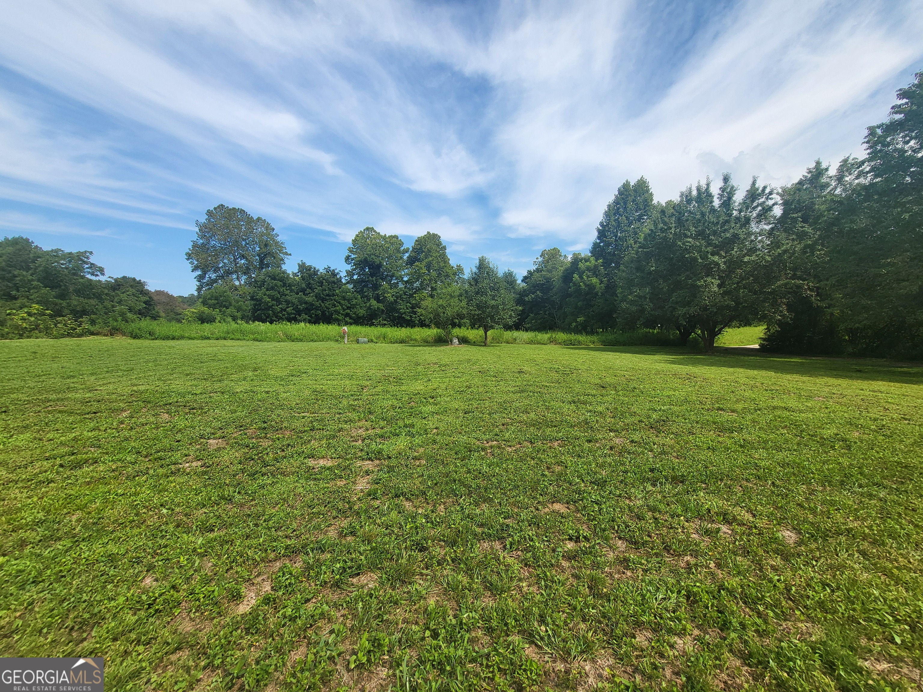43 Moon Shadow Road Franklin, NC 28734 - Photo 7 of 12 a view of a field with an trees in the background