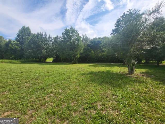 a view of field with tall trees