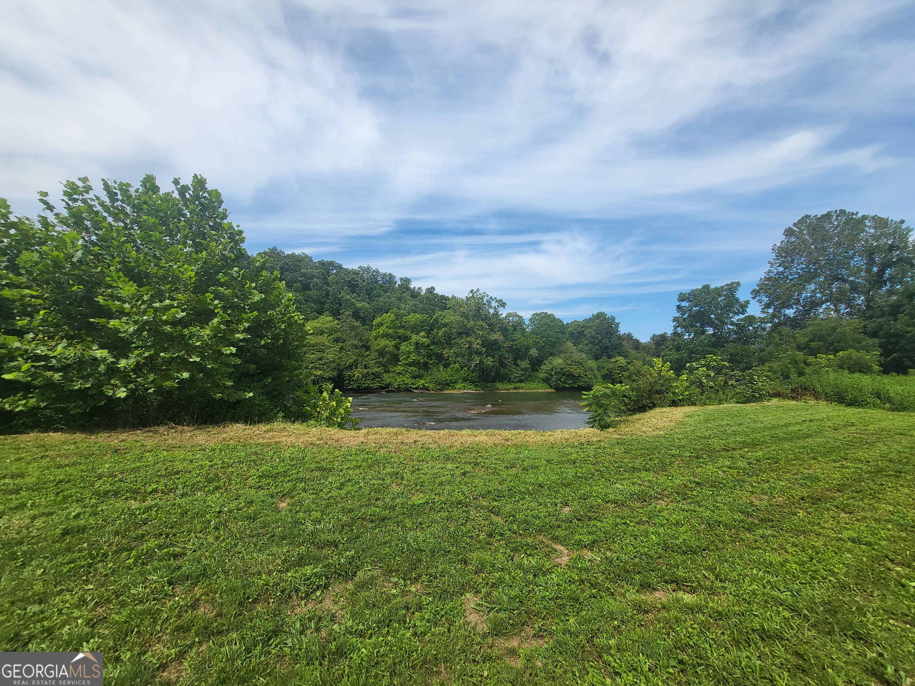 43 Moon Shadow Road Franklin, NC 28734 - Photo 9 of 12 a view of field with tall trees