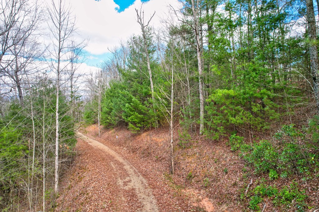 22-24 Rye Field Road Murphy, NC 28906 - Photo 5 of 26