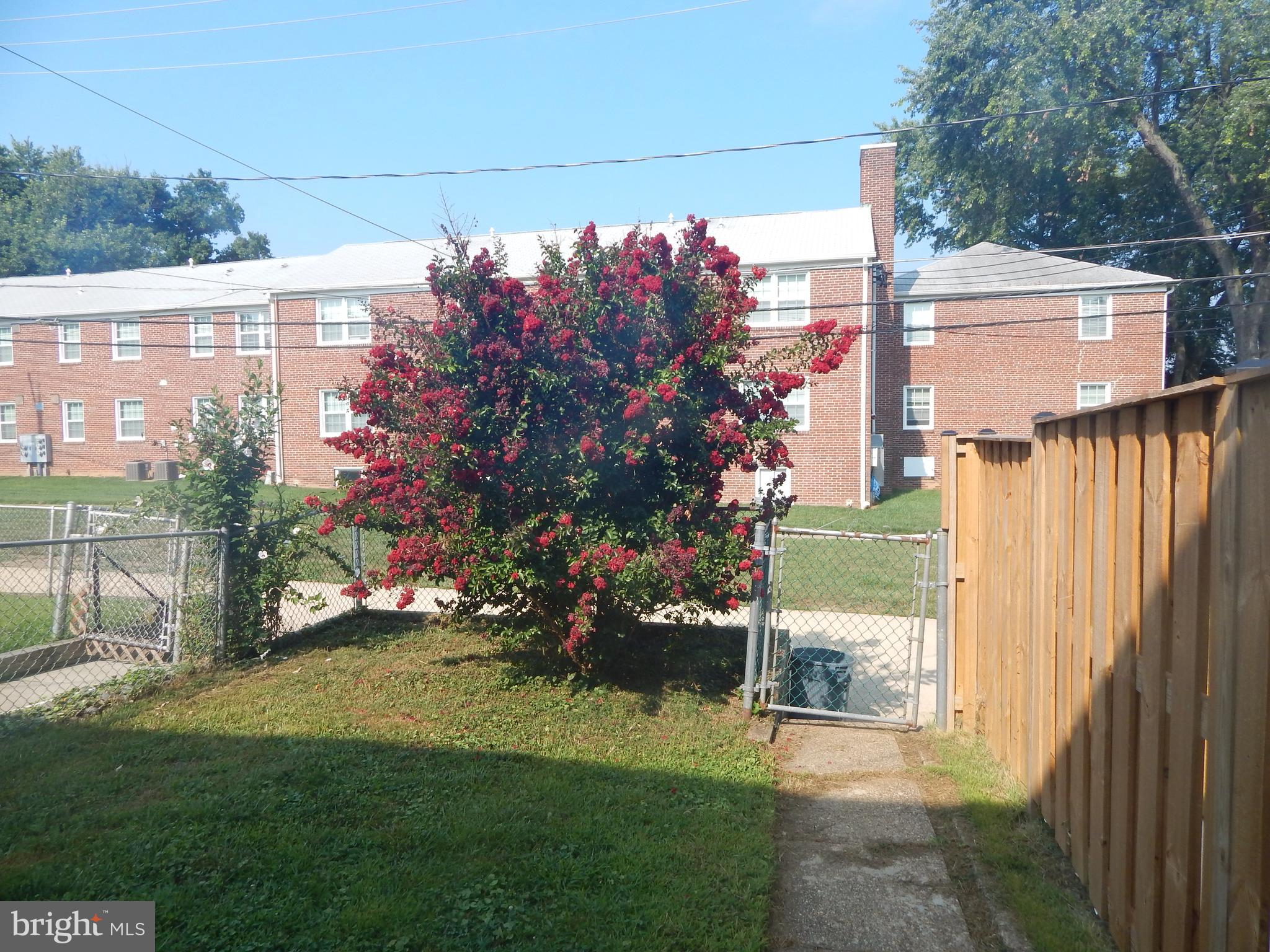 105 Regester Avenue Baltimore, MD 21212 - Photo 2 of 28 Rear Yard