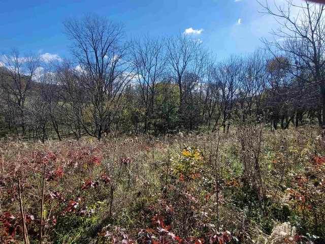 $33,900 | 62 Heatherdowns Lane, Galena, IL 61036