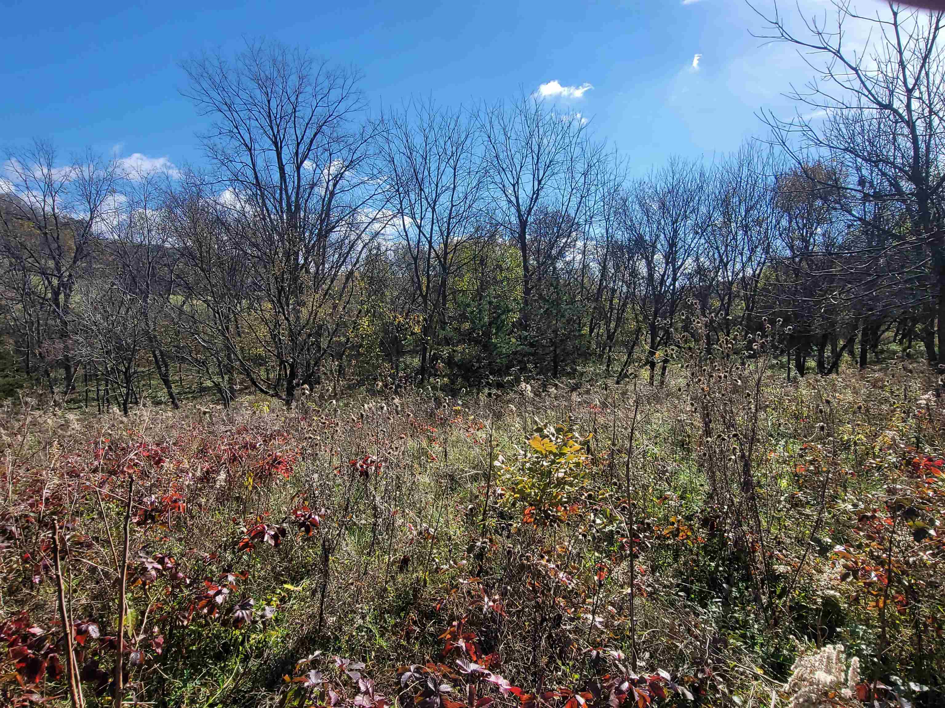 62 Heatherdowns Lane Galena, IL 61036 - Photo 11 of 11