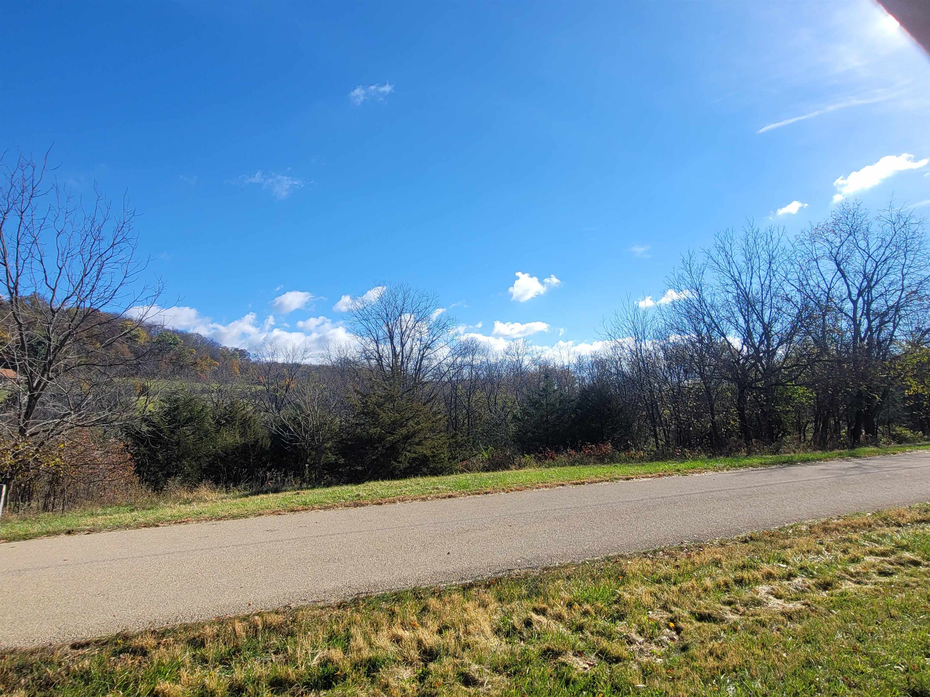 62 Heatherdowns Lane Galena, IL 61036 - Photo 2 of 11 a view of a yard with palm trees