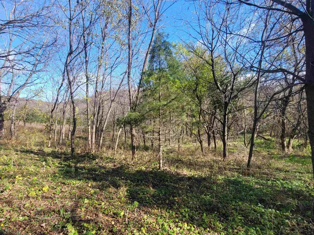 $33,900 | 62 Heatherdowns Lane, Galena, IL 61036